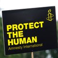 Amnesty International извинилась за доклад с обвинениями в адрес ВСУ