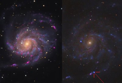 M101 galaktikoje įvyko žvaigždės sprogimas, supernova. A. Medvedevo nuotr.