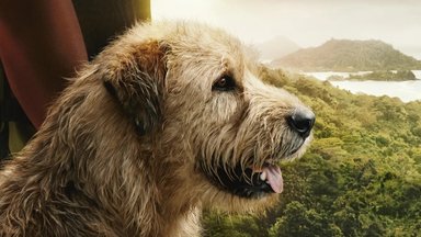 Filmo „Mano šuo Artūras“ recenzija: istorija, kuri propaguoja meilę gyvūnams