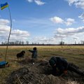 Kanados žvalgyba: Rusija nesiruošia grąžinti Ukrainoje pagrobtų vaikų