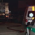 Didelė avarija Šilalės rajone: per susidūrimą su briedžiu žuvo jaunas vairuotojas