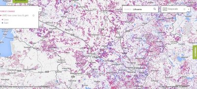 Schema iš svetainės http://www.globalforestwatch.org - kiek miškų prarado ir atsodino Lietuva per pastarąjį dešimtmetį 