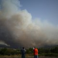 Turkijos vakaruose dėl miško gaisro evakuoti keli kaimai