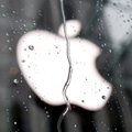 JAV teisėsauga spaudžia „Apple“