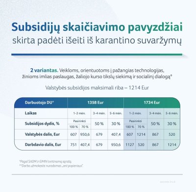 Subsidijų skaičiavimo pavyzdžiai. 