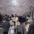 Japonijoje beveik 1,5 mln. žmonių gyvena kaip atsiskyrėliai, atskleidė tyrimas