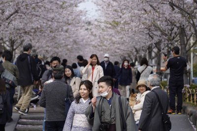 Japonija