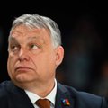Соратница венгерского премьера Орбана ушла в отставку из-за его "нацистского" заявления о расах