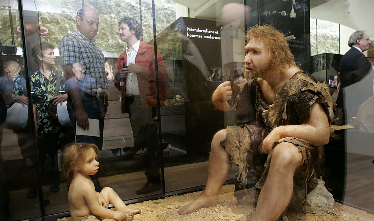 Neandertaliečių modeliai parodoje  Prancūzijoje