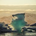 Mokslininkus stebina keisti žali ledynai Antarktidoje