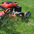 Aštuoni būdai, kaip tinkamai panaudoti nupjautą žolę