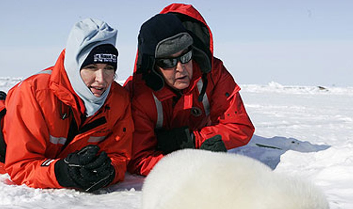 Paulas McCartney (dešinėje) su žmona Heather Kanadoje stebi ruoniuką.