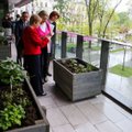 Suomijos ambasada bando miestiečius užkrėsti urbanistinio daržo virusu