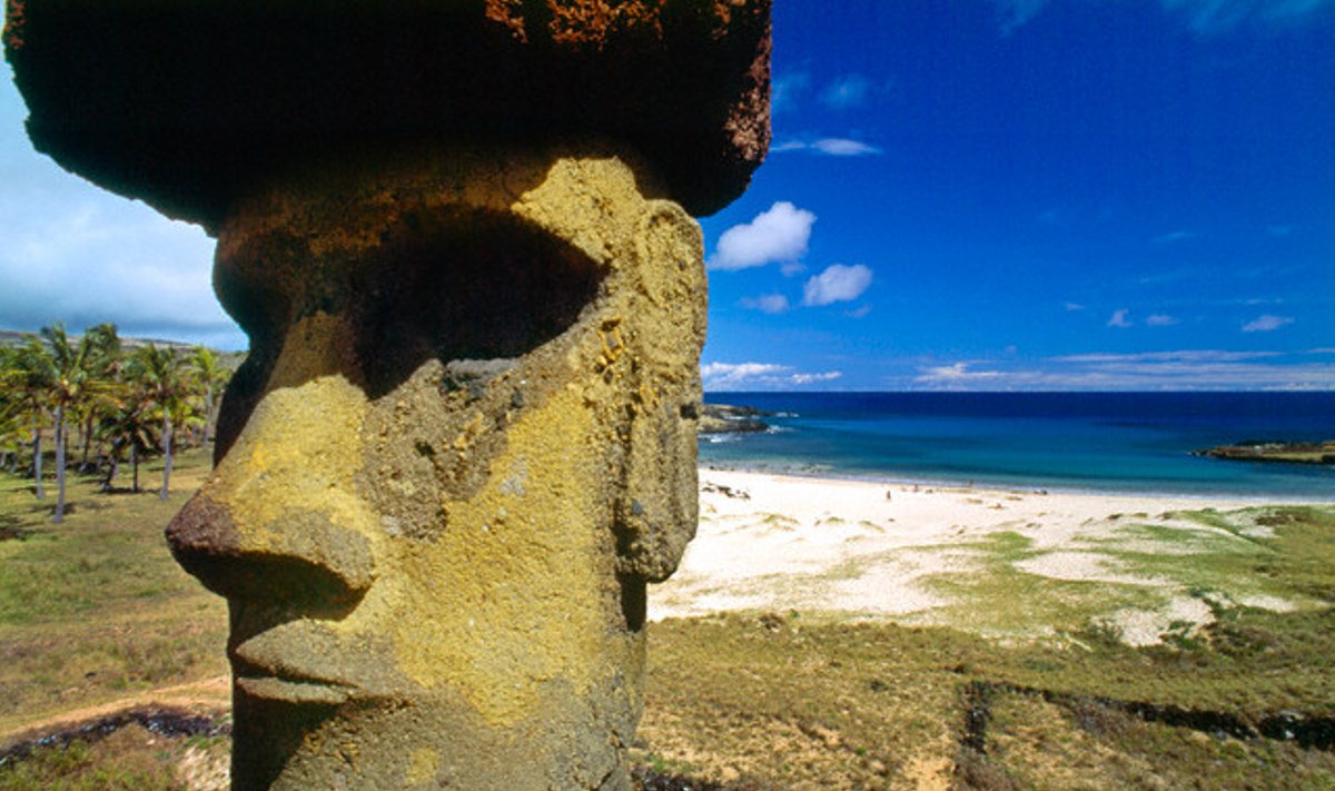 Moai statula Velykų saloje