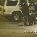 Šimpanzė JAV užpuolė moterį ir policininkus