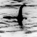 Mano atskleidę Loch Neso pabaisos paslaptį: DNR tyrimo rezultatai sutampa su liudininkų parodymais