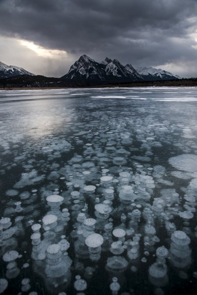 Abrahamo ežero lede matomi metano burbulai