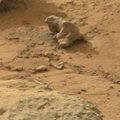Marse vėl vaidenasi: „Curiosity“ nuotraukoje – akmeninė „iguana“