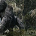 „Godzilos“ kūrėjai į kino teatrus grąžina legendinį King Kongą: papasakos, nuo ko viskas prasidėjo