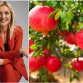Sandrija Čapkauskienė apie stebuklingą vaisių, kurį būtina įtraukti į savo mitybos racioną: pamiršite sveikatos problemas