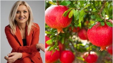 Sandrija Čapkauskienė apie stebuklingą vaisių, kurį būtina įtraukti į savo mitybos racioną: pamiršite sveikatos problemas