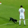 Gruzijoje futbolo rungtynes sutrikdė į aikštę išbėgęs šuo