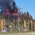 Šiaulių rajone degė Kryžių kalnas, dirbo didelės ugniagesių pajėgos
