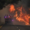 Nevaldomi miškų gaisrai kėsinasi į Sidnėjų, liepsnos siaučia 15km nuo miesto centro
