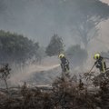 Per miško gaisrus Portugalijoje nukentėjo 13 žmonių