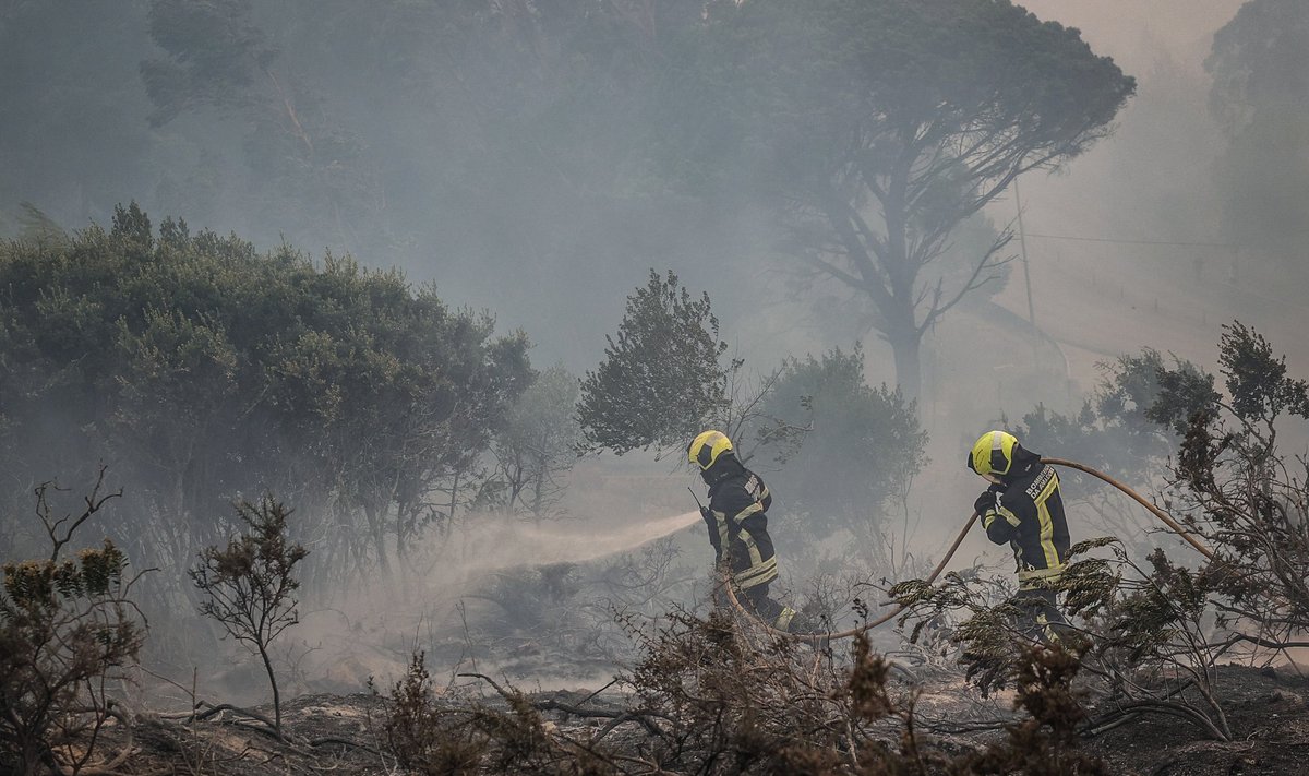 Miško gaisrai Portugalijoje