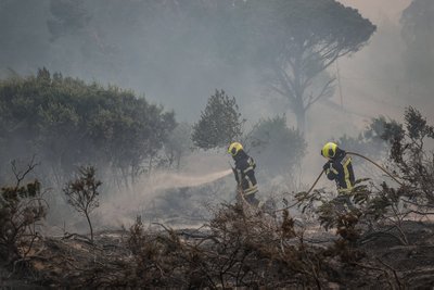 Miško gaisrai Portugalijoje