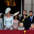 Paskaičiavo, kiek karališkoji Didžiosios Britanijos šeima kainuoja mokesčių mokėtojams: kai kurios sumos privers aiktelėti