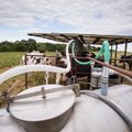 Pienininkystė palieka kaimą – išparduoda ūkius, kad padengtų paskolas