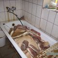Jonavos rajone aptiko nelegalų mėsos cechą