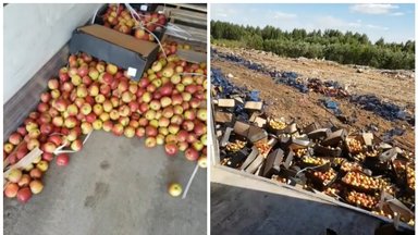 Kodėl Rusijoje naikinami didžiuliai kiekiai obuolių?