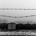Ar internautams pavyko aptikti slaptas JAV koncentracijos stovyklas?