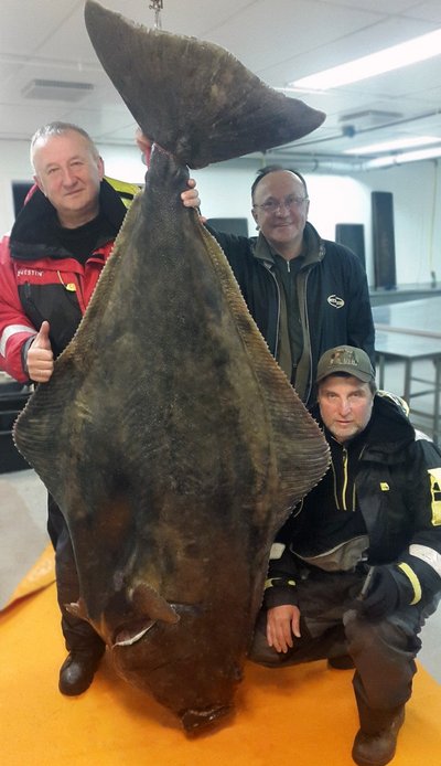 96,3 kg svėręs otas