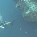 Nufilmuota, kaip narai iš žvejybinių tinklų išgelbėjo penkis bangininius ryklius