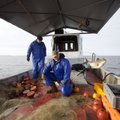 Kvapą gniaužiantis žvejų gyvenimas iš arti: ilgas žuvies kelias iki jūsų stalo