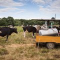 Per metus ekologiško pieno supirkimo kaina padidėjo 2,53 proc.
