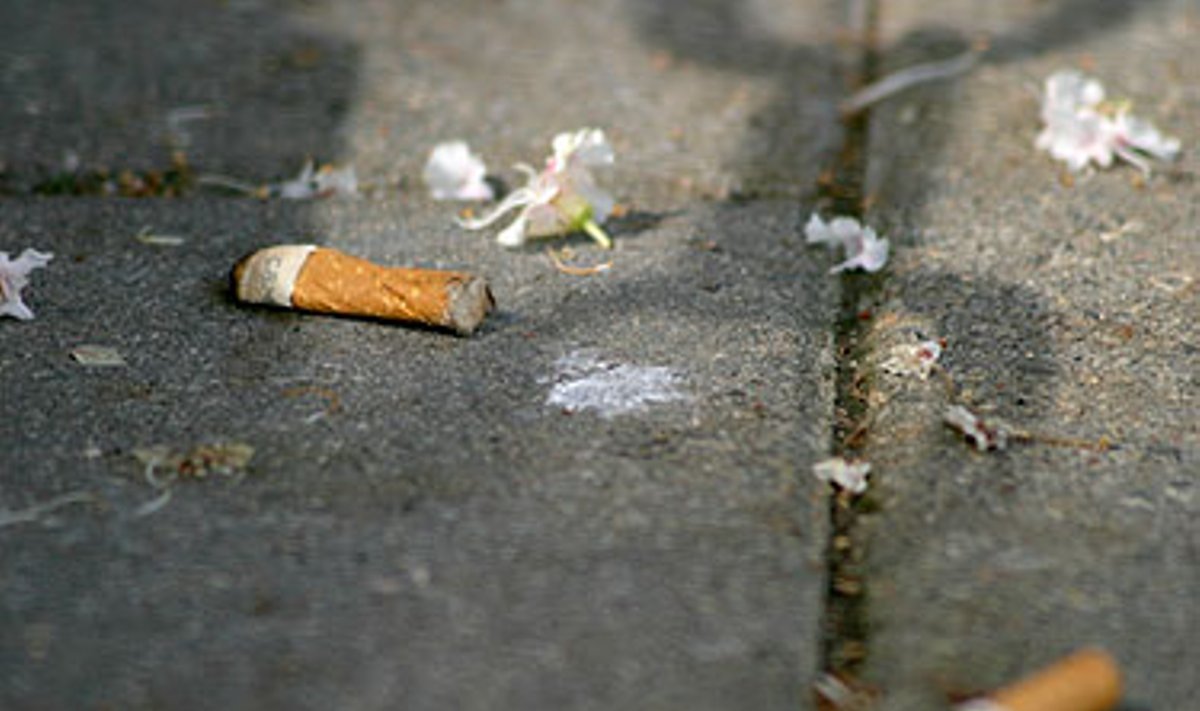 Cigaretės, cigaretė