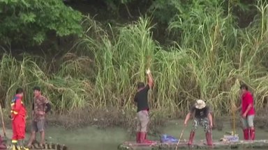 Pasinaudoję potvyniu iš fermos paspruko per 70 krokodilų: rasti pavyko ne visus