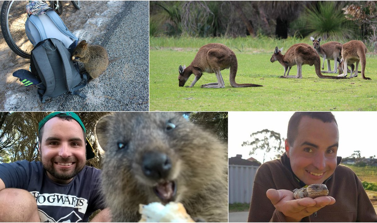 Antanas Urbonas Australijoje sutiko daugybę nematytų gyvūnų