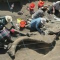 Netoli Meksiko rastas gerai išsilaikęs mamuto skeletas