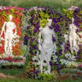Didžiausiame gėlių festivalyje Europoje – išskirtinės lietuvių sukurtos gėlių kompozicijos