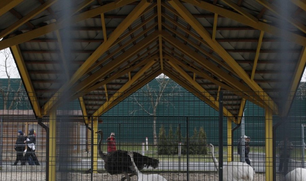 Gyvūnai buvusio prezidento Janukovyčiaus zoo parke