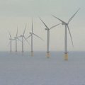 Atviroje jūroje statomos vėjo jėgainės gali susilpninti uraganus