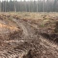 E. Drobelis: netikslinga nacionalinio parko miškuose atsisakyti plynų kirtimų