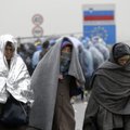 Experts slam Lithuania's refugee selection criteria