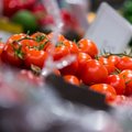 Mokslininkai sukūrė kitokius pomidorus: pamatysite skirtumą tik atsikandę